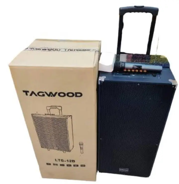TAGWOOD LTS-12B Rechargeable Portable Speaker with 12' double speaker