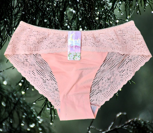 💫6PCS  ELEGANT LACE • FULL BACK STYLE 💫 Women’s Lace Full Back Panties – Cheeky Sexy Fit, Soft Breathable Comfortable Everyday Underwear