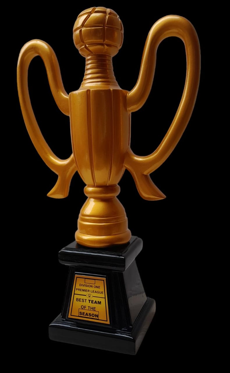 Premium VIP Trophy Award – Elegant Wooden & Gold Recognition Trophy for Corporate, Sports & Special Events
 Reward excellence with this premium VIP Trophy, crafted with a stylish