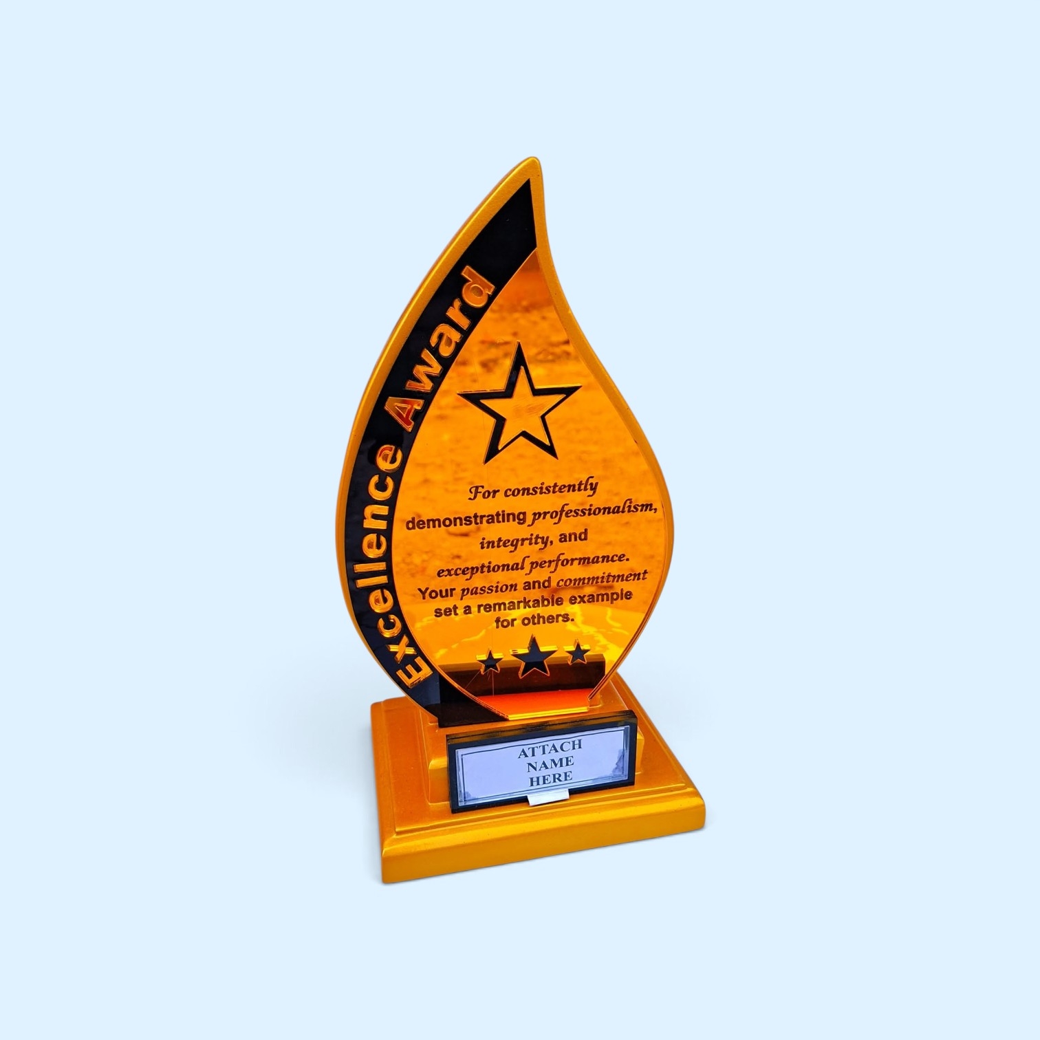 Excellence Award Trophy
