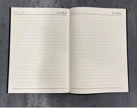 M&G B5 Premium Leather Notebook (80 Sheets) Professional Executive Journal, 17.6 x 25.0 cm Slim Business Diary & Conference Pad APYE306B.