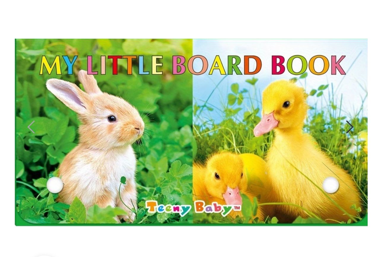 My Little Board Book – Early Learning Picture Book for Babies, Toddlers & Preschool Children