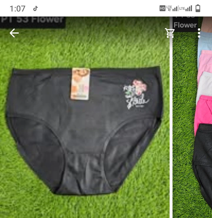 New arrivals Women seamless panties-soft strect comfort everyday sexy underwear setfor daliy wear