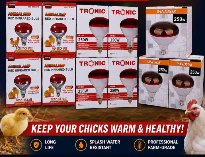 Red Infrared chicken bulb, Heat Lamp for Chickens Coop Brooder and Reptile Heat Bulb 220 Volts Infrared Red Light