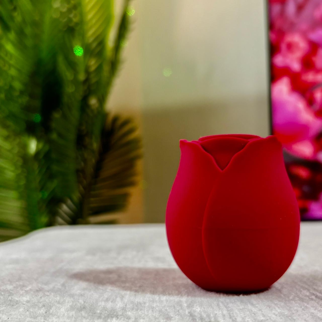 Rose Vibrator Massager for Women – Rechargeable Rose Vibrator Massager for Women with Clitoral Stimulation & Gentle Nipple Sucker, Quiet Silicone Adult Wellness Massager