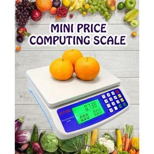 DT580 Digital Butchery scale upto 30 Kgs Battery price computing weighing machine kitchen digital measuring scale