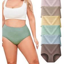 12 Pcs Ladies Cotton Stretchy Seamless Panties – Soft Breathable No Show Underwear Set for Women with Full Coverage & Comfort Fit