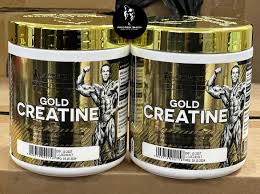 Kevin Levrone Gold Creatine 300g - Pure Creatine Monohydrate for Muscle Strength & Endurance