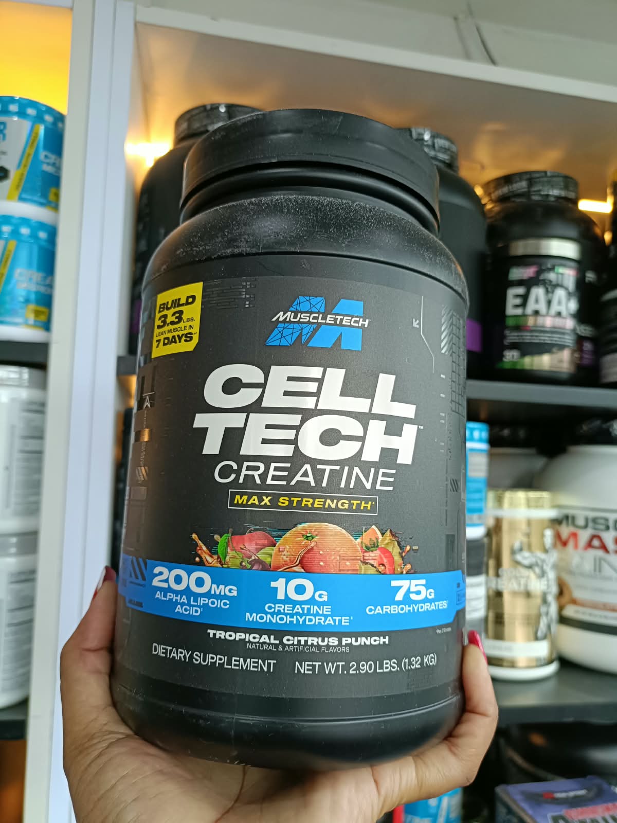 Muscletech Cell-Tech Creatine Powder 1.32kg Fruit Punch, 10g Creatine per Serving, 5g Aminos & 200mg ALA, Research-Backed Muscle Builder Dietary Supplement