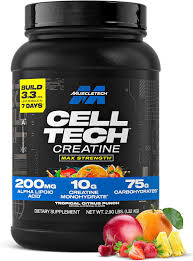 Muscletech Cell-Tech Creatine Powder 1.32kg Fruit Punch, 10g Creatine per Serving, 5g Aminos & 200mg ALA, Research-Backed Muscle Builder Dietary Supplement