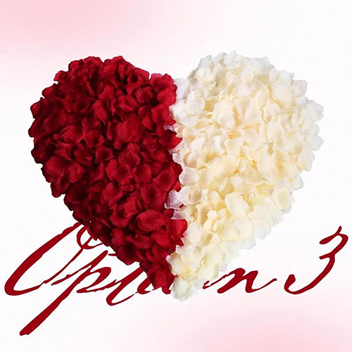 900PCS Romantic Dates  Petals for Romantic Night for Her Set Flowers Wedding Party Decoration Marriage Proposals Decor Fake Rose Artificial Silk Rose Petals