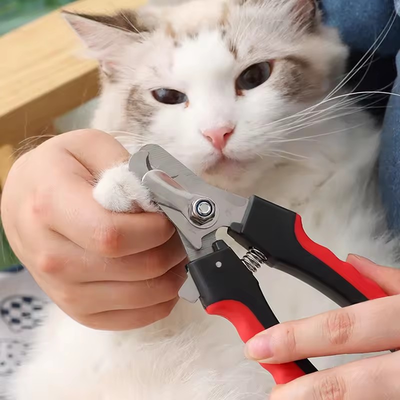 Professional Pet Nail Clipper Stainless Steel Dog Cat Nail Clippers Multifunctional Teddy Cat Stainless Steel Grooming Scissors