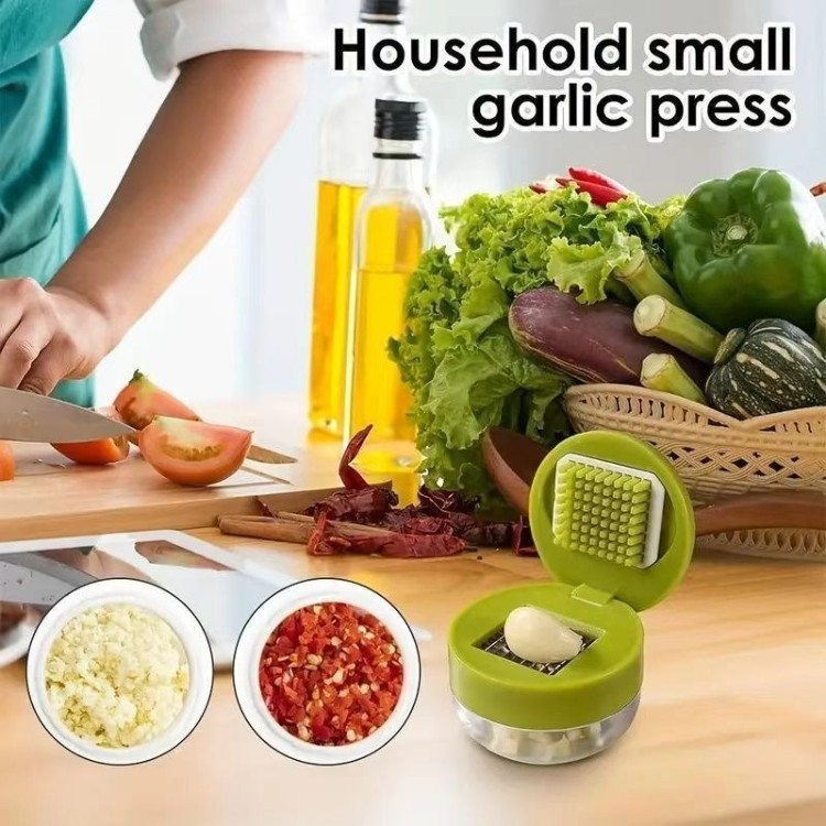 1PC Multifunctional Garlic Press Manual Mincer,PET and Stainless Steel Garlic Slicer Handheld Ginger Masher with Storage Case