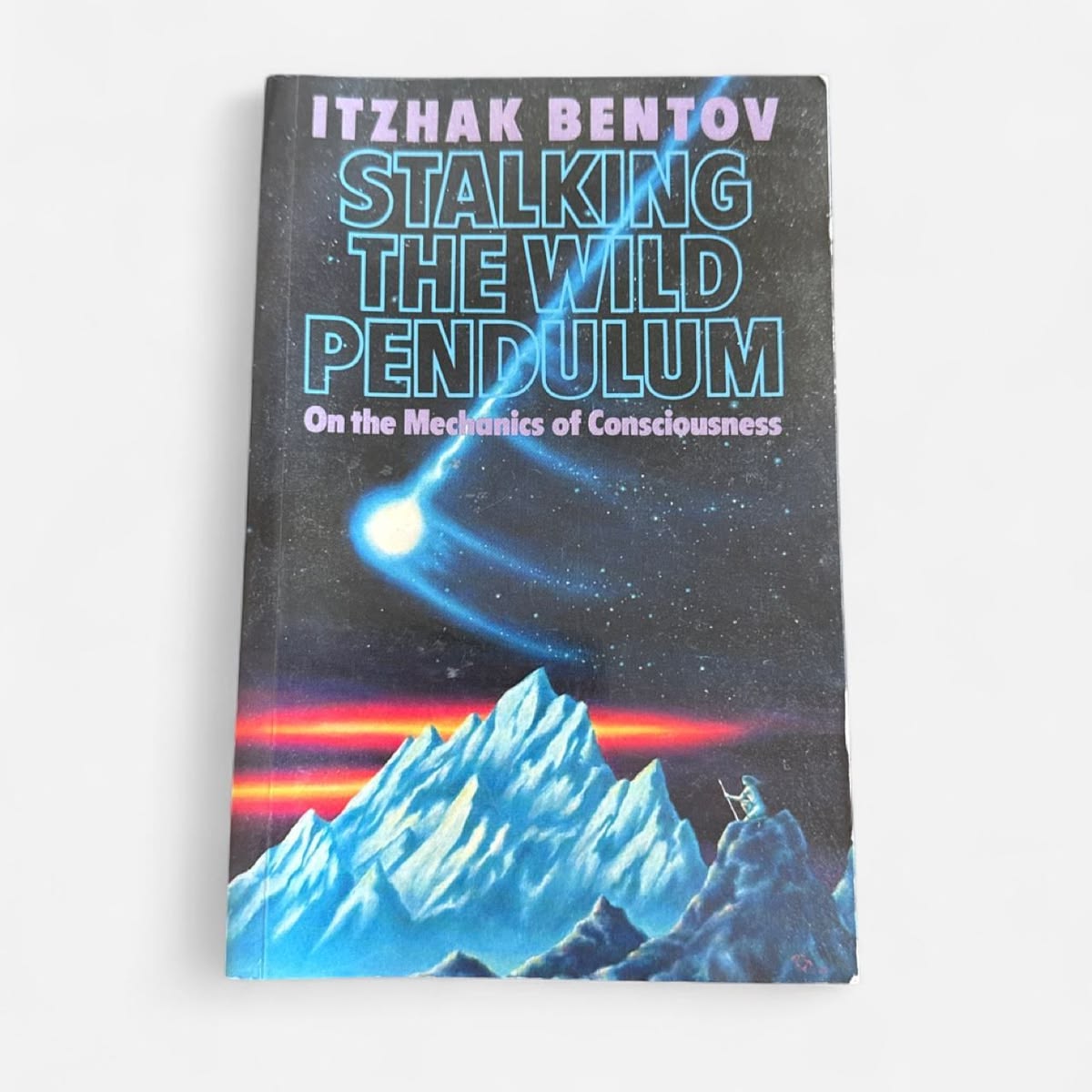 Stalking the Wild Pendulum by Itzhak Bentov