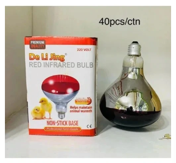 Chicken Bulb Heat Lamp – Poultry Brooder Bulb for Chicks, Ducklings & Quails. Aa reliable heat source designed to keep chicks and young poultry warm during brooding.