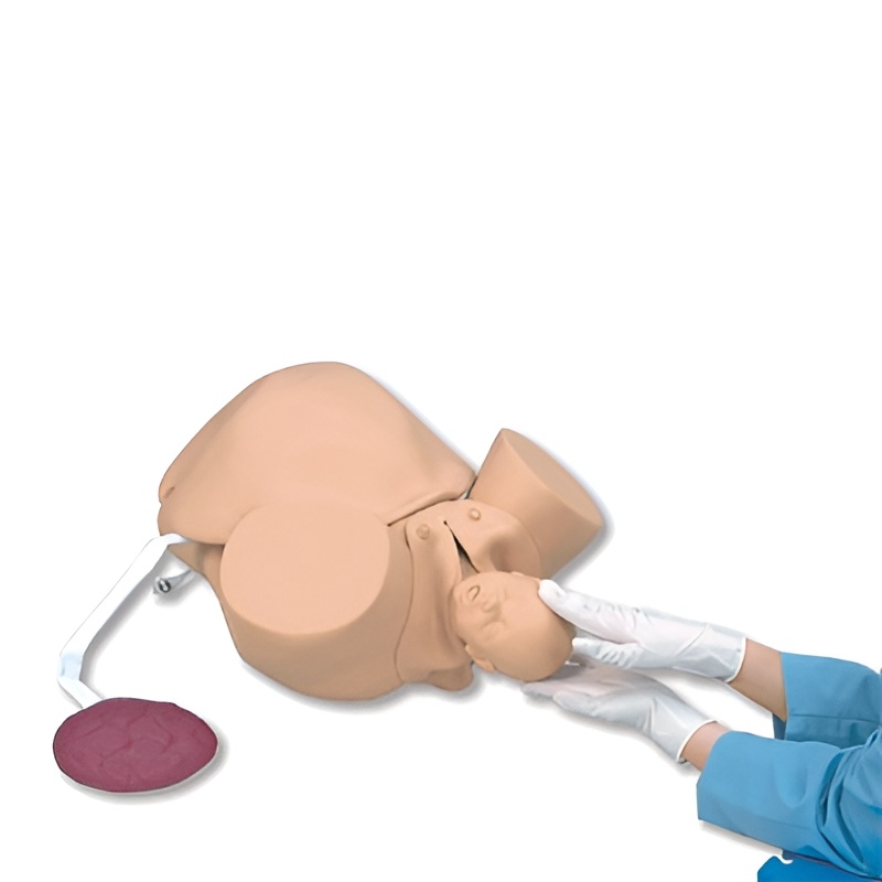 Obstetric Childbirth Training Mannequin