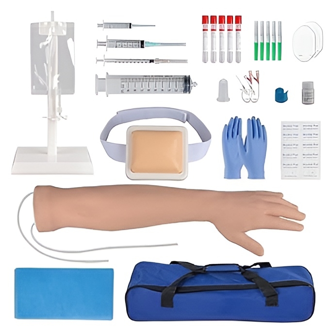 Intravenous Injection & Phlebotomy Training Arm Model