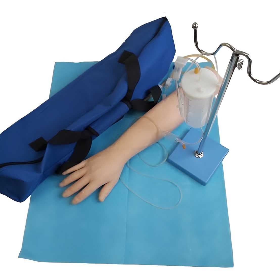 Intravenous Injection & Phlebotomy Training Arm Model