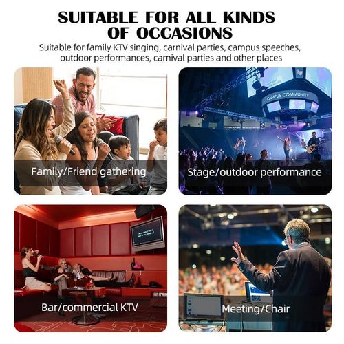 Wireless Microphone 2 Channels VHF Fixed Frequency Handheld Mic Micphone For Party Karaoke Professional Church Show Meeting