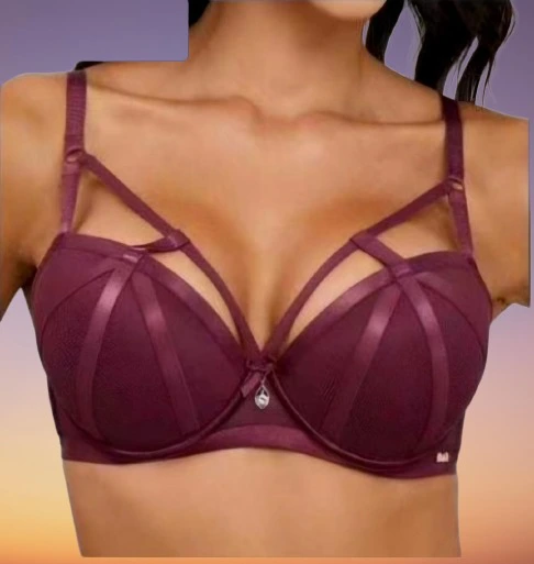 Elegant Strappy Cage Bra - Luxury Push-Up Lace Lingerie with Mesh Detail - Wine Red