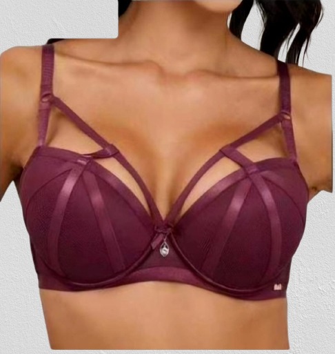 Elegant Strappy Cage Bra - Luxury Push-Up Lace Lingerie with Mesh Detail - Wine Red