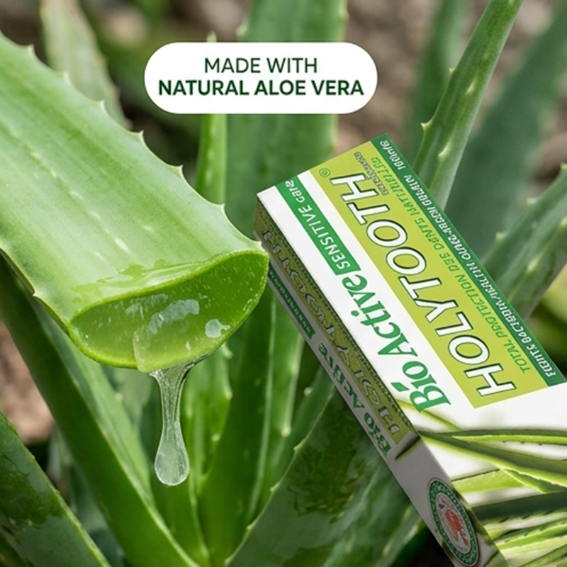 Toothpaste Aloe Vera Toothpaste Whitening Toothpaste Natural Fresh Breath Anti Cavity Gum Care Teeth Cleaning Daily Oral Care