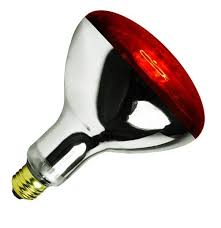Chicken Infrared RED heat lamp light bulb + Free Porcelain Holder