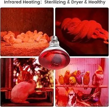 Chicken Infrared RED heat lamp light bulb + Free Porcelain Holder