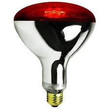 Chicken Infrared RED heat lamp light bulb + Free Porcelain Holder