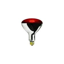 Chicken Infrared RED heat lamp light bulb + Free Porcelain Holder