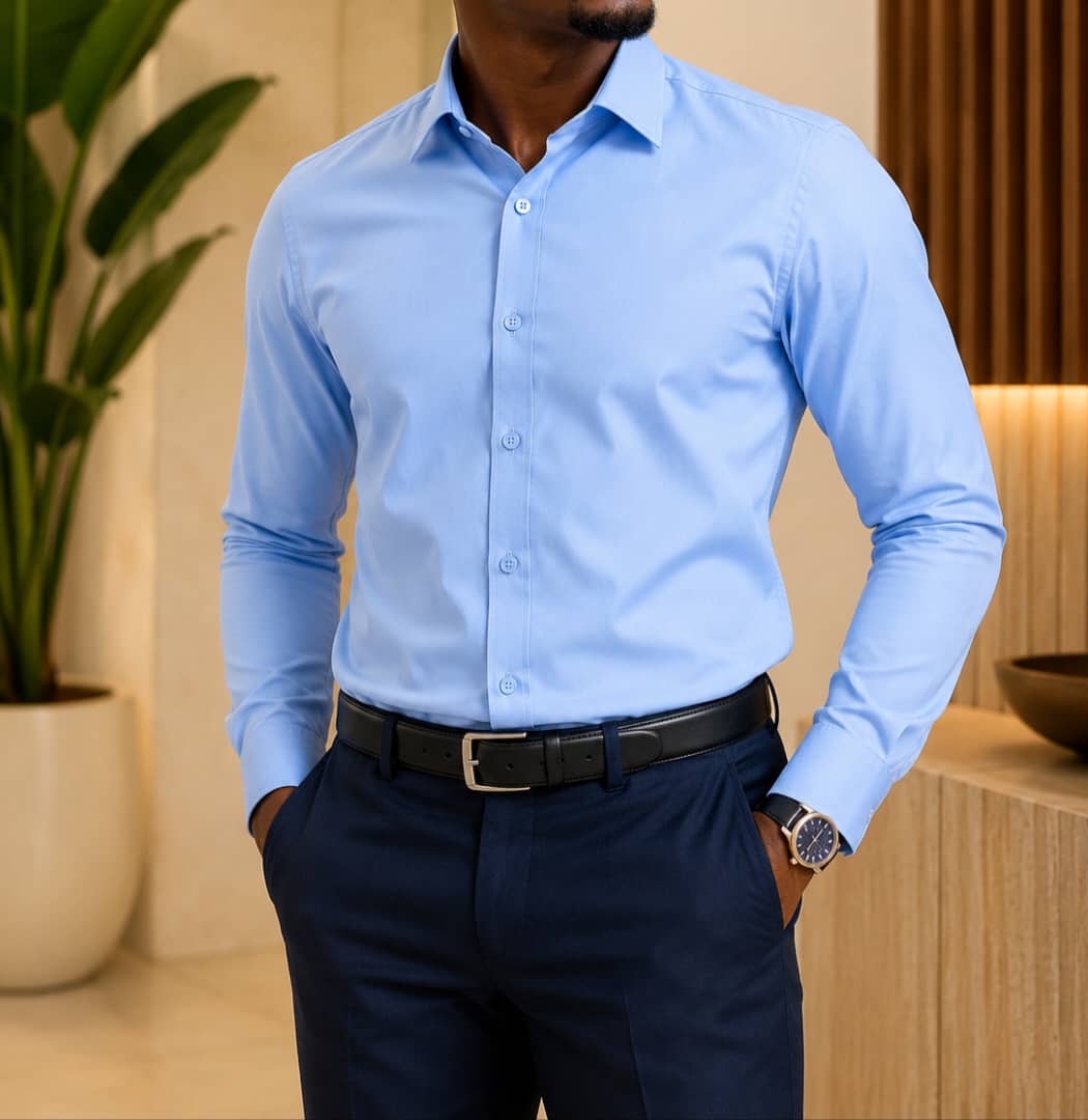 New Arrival High Quality Men's Boutique Long Sleeved Cotton Shirts; Button Down Men's Clothing T-Shirts /Men's Shirts Solid Color Cotton Shirts