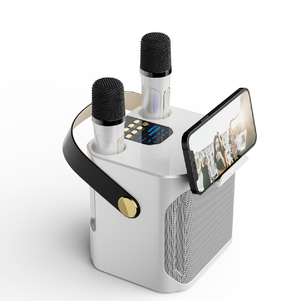 Bluetooth Speaker — Outdoor Karaoke System | High-Volume Speaker with Dual Microphones — All-in-One Home Karaoke Unit