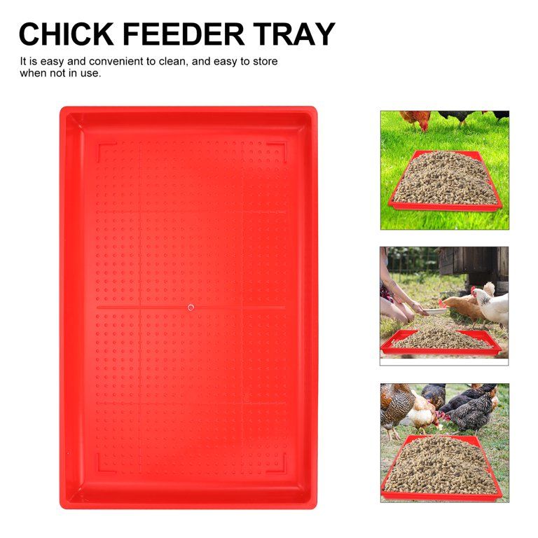 Strong rectangle Chick Feeding Trays. Feeding Plate for Poultry. Chicken Feeder Poultry Farming Equipment | Chick Feeder