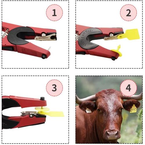 Ear tag applicator