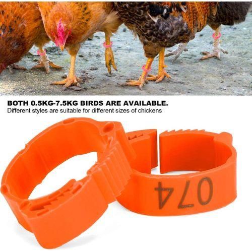 100pcs Chicken Leg Rings For Birds Chicken Duck (Orange)