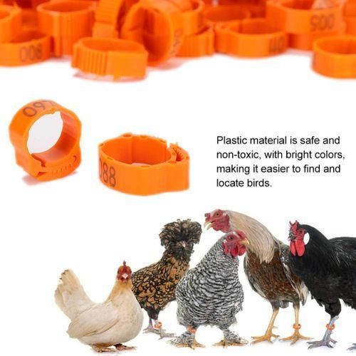 100pcs Chicken Leg Rings For Birds Chicken Duck (Orange)