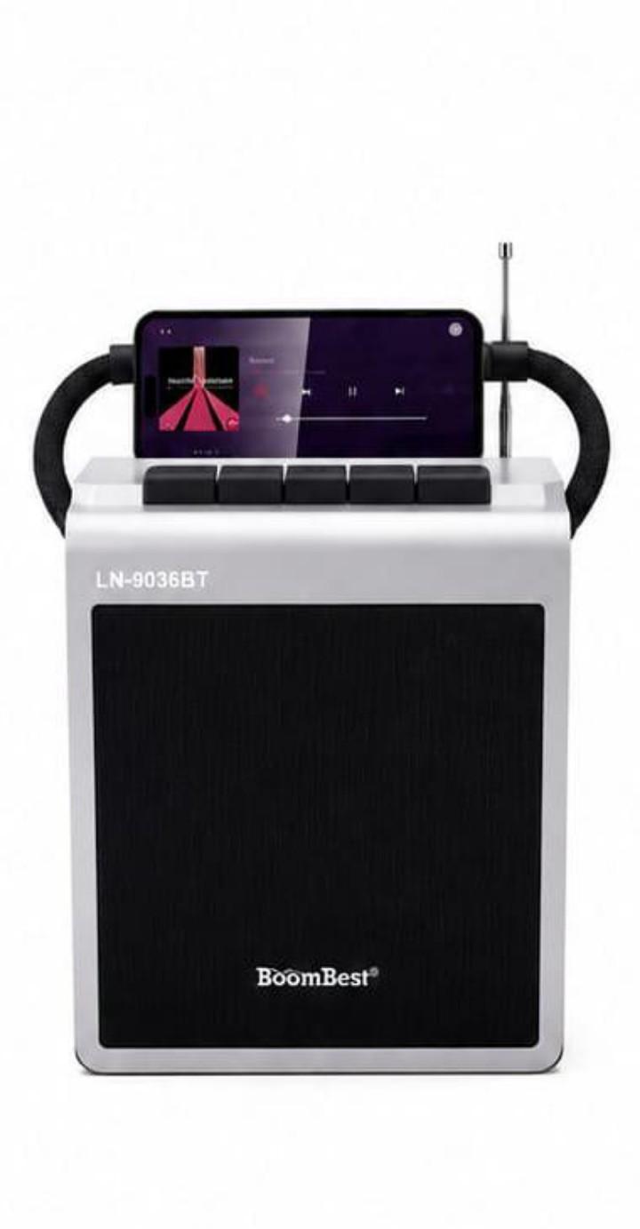 BoomBest LN-9036BT Premium Portable Wireless FM Radio Bluetooth Speaker with Rechargeable Battery, MP3 Player, USB/TF Support & Loud Clear Sound
