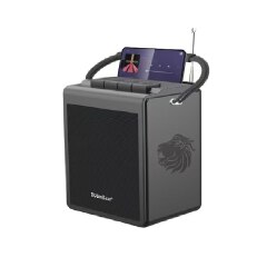 BoomBest Wireless Bluetooth Speaker with 30-Watts Power Plus Superior Bass & Supports USB / TF Card