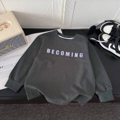Children's pure cotton T-shirt, baby's stylish hoodie, girls' Korean version long sleeved embroidered top, boys' spring and autumn style base shirt