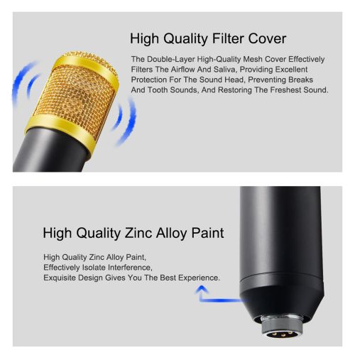 BM800 Professional Condenser Microphone - Cardioid, 48V, 2.5M Cable