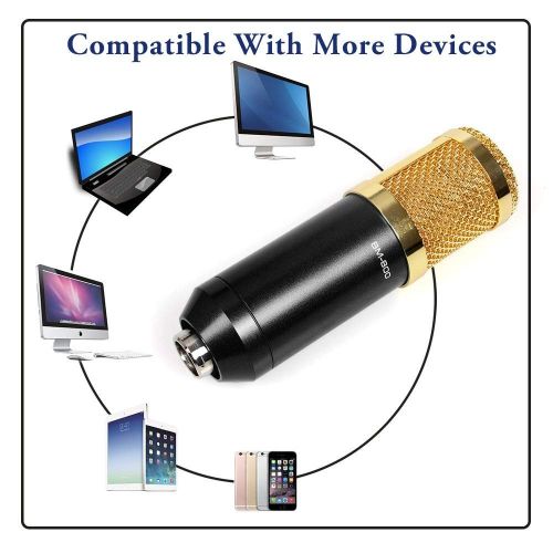 BM800 Professional Condenser Microphone - Cardioid, 48V, 2.5M Cable
