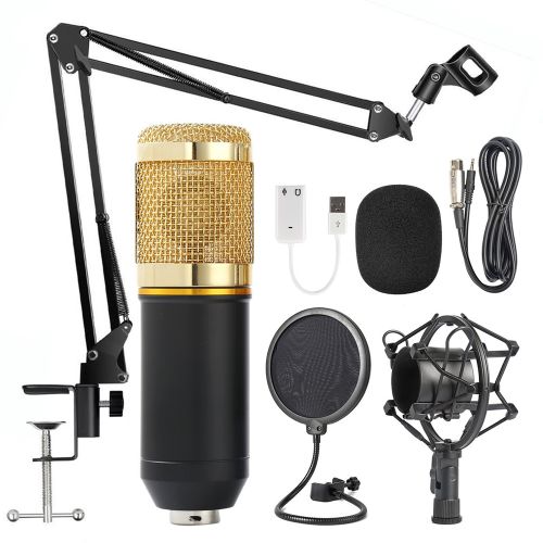 BM800 Professional Condenser Microphone - Cardioid, 48V, 2.5M Cable