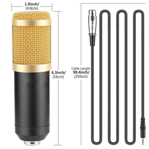 BM800 Professional Condenser Microphone - Cardioid, 48V, 2.5M Cable