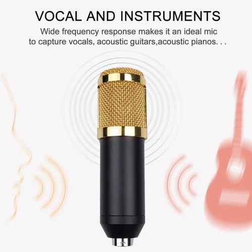 BM800 Professional Condenser Microphone - Cardioid, 48V, 2.5M Cable