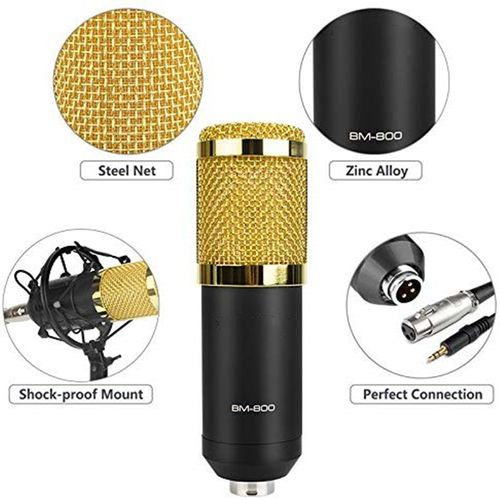 BM800 Professional Condenser Microphone - Cardioid, 48V, 2.5M Cable