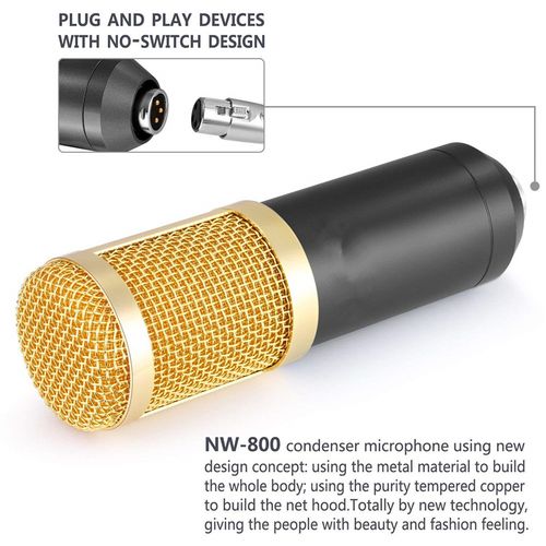 BM800 Professional Condenser Microphone - Cardioid, 48V, 2.5M Cable
