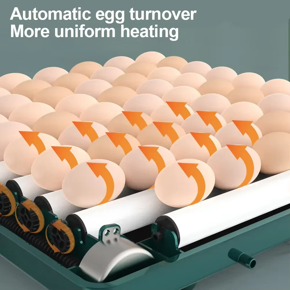 64 Eggs  Double Power Full Automatic Incubator Intelligent Electric Incubator Automatic Egg-turning Chicken, Duck, Goose, Pigeon, Peacock And Parrot Egg Incubator