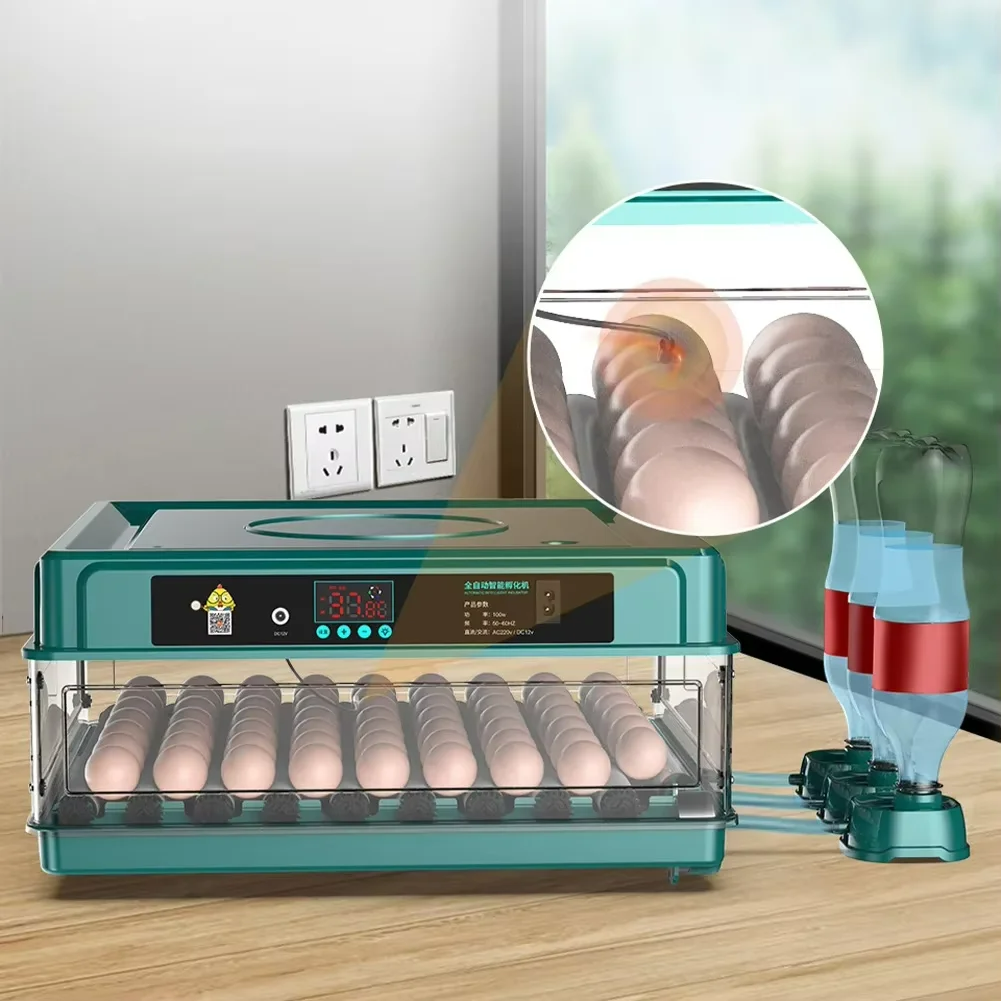 64 Eggs  Double Power Full Automatic Incubator Intelligent Electric Incubator Automatic Egg-turning Chicken, Duck, Goose, Pigeon, Peacock And Parrot Egg Incubator