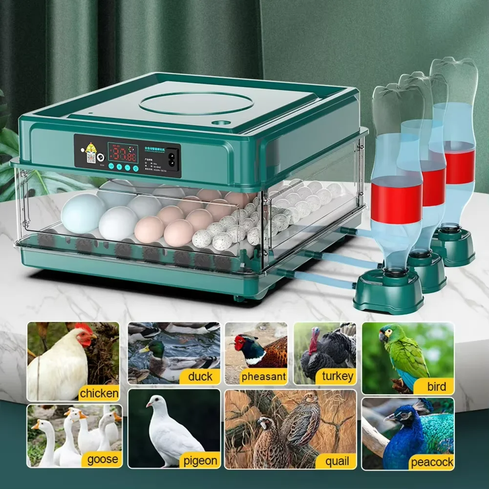 64 Eggs  Double Power Full Automatic Incubator Intelligent Electric Incubator Automatic Egg-turning Chicken, Duck, Goose, Pigeon, Peacock And Parrot Egg Incubator