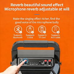 Portable Bluetooth Karaoke Speaker with Microphone Wireless Rechargeable Karaoke Machine for Outdoor Party Holiday Gathering